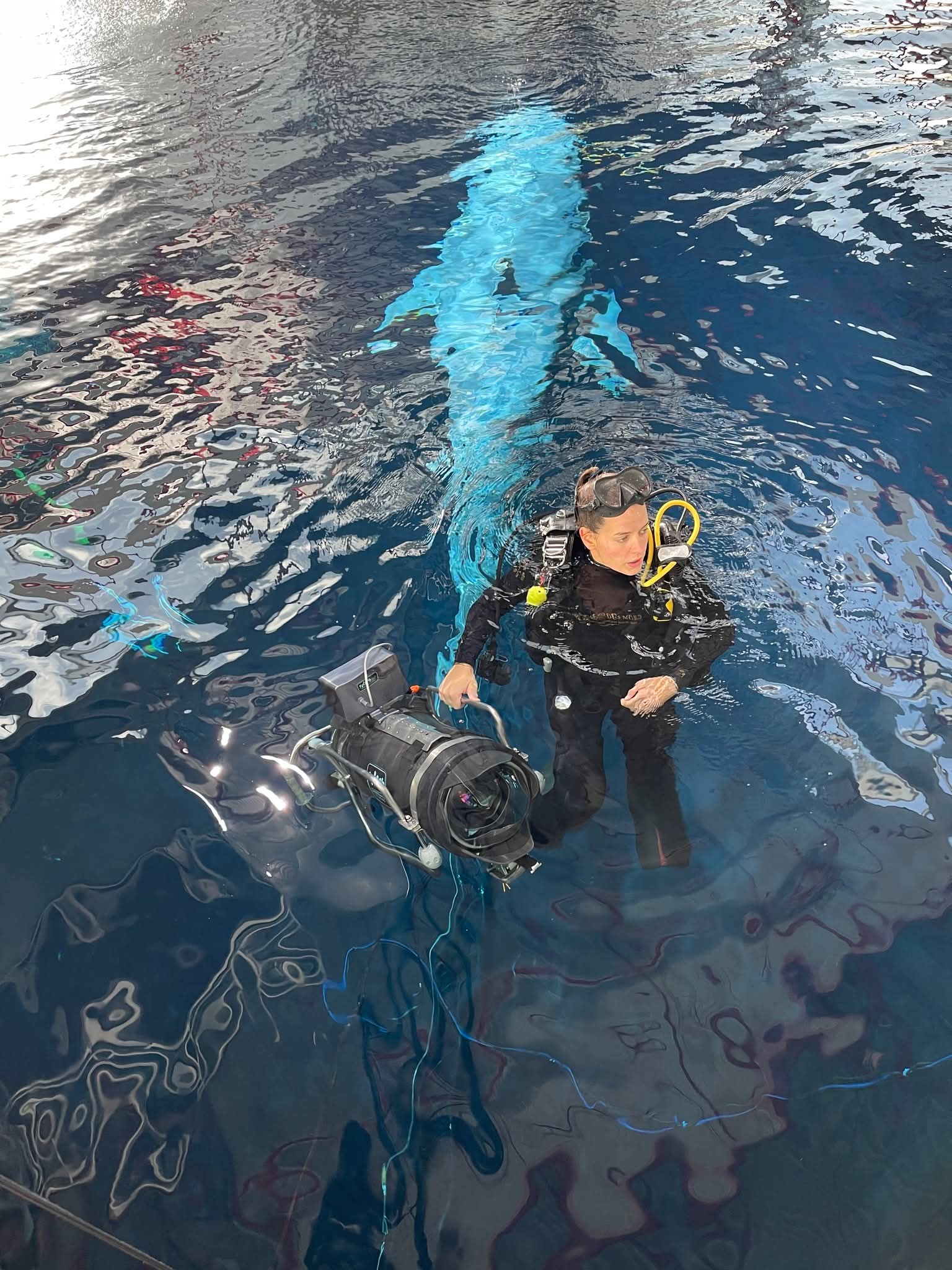Essai aquatique animatronic